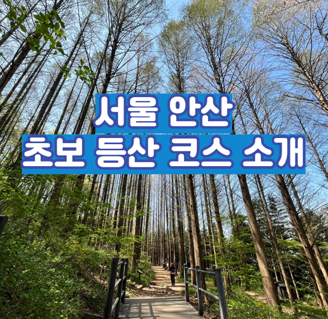 서울 안산 초보 등산코스