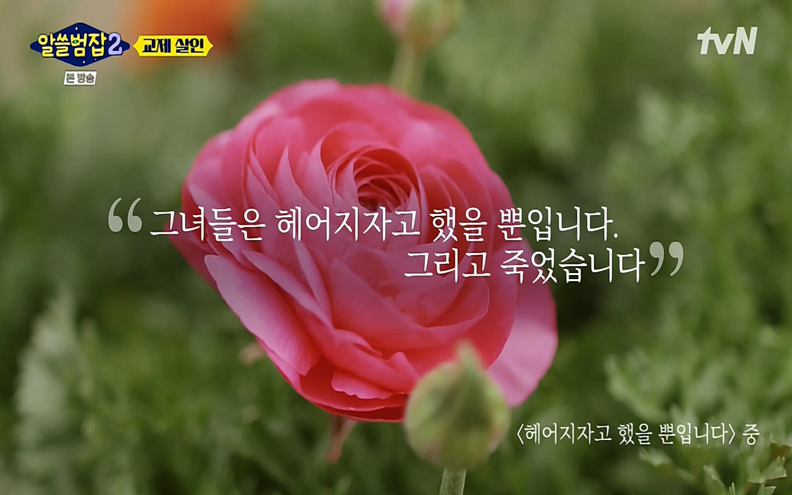 알쓸범잡 2.E14.220418p-NEXT.mp4_20220418_190840.916.jpg