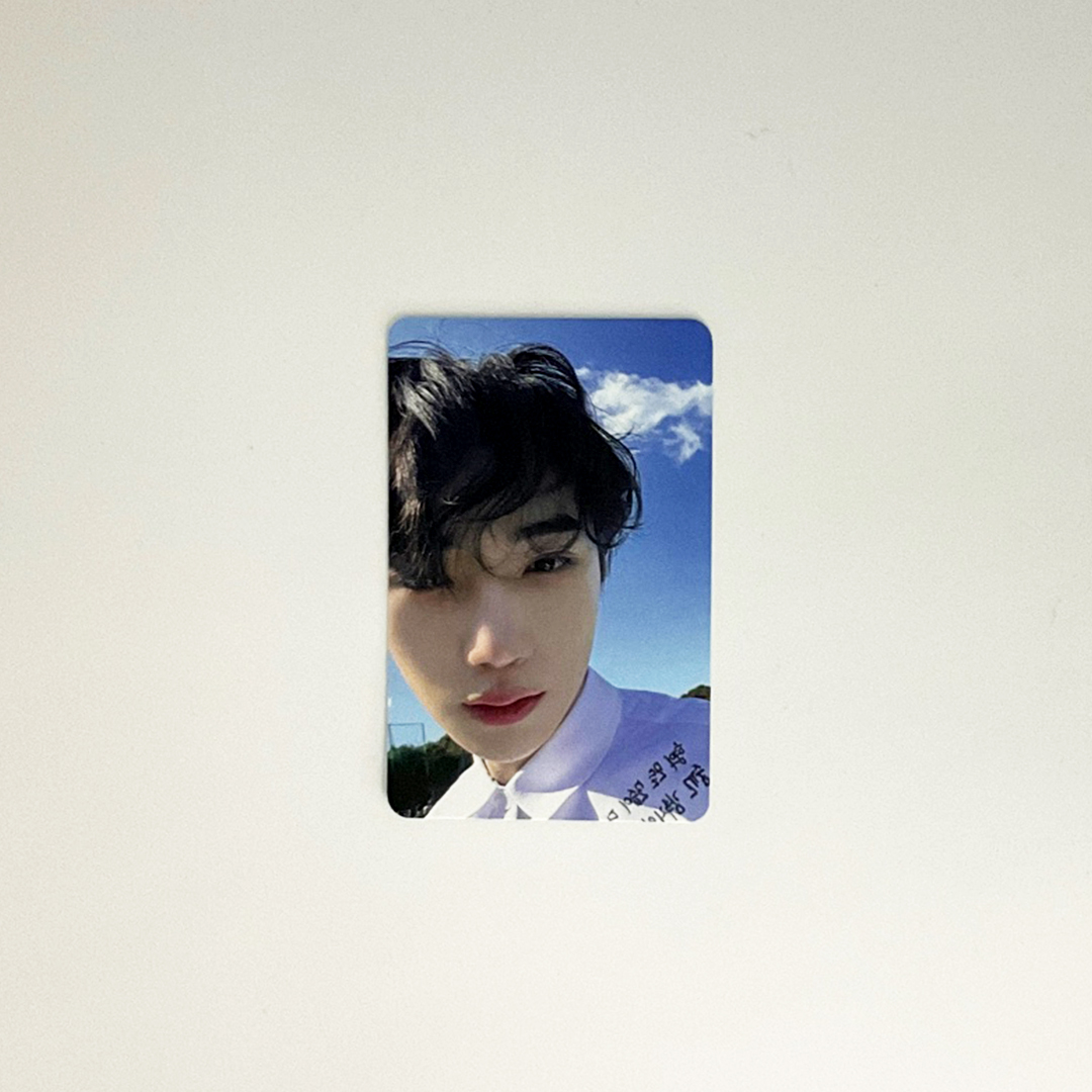더뉴(the New) 이미지