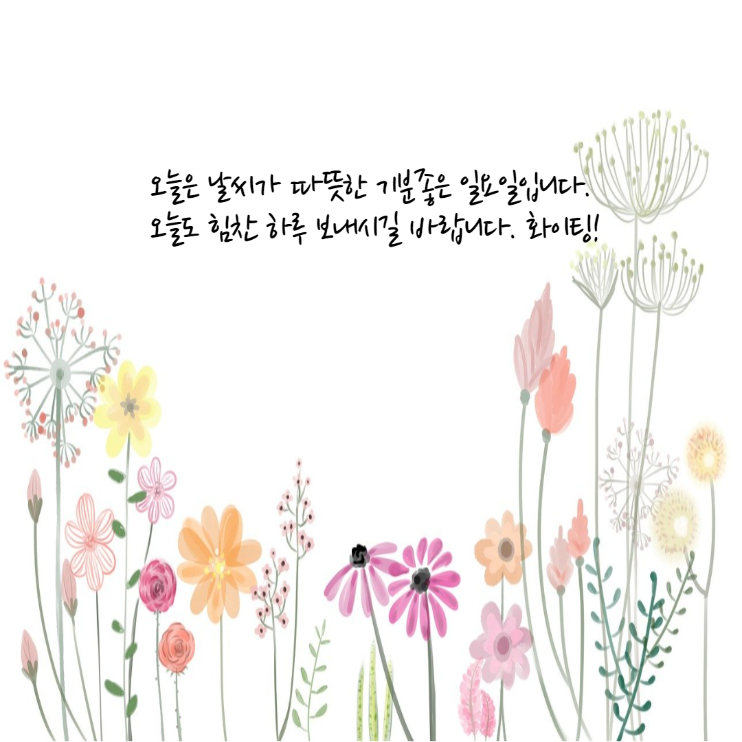  일요일 인사말, 문구, 메세지 및 이미지 다운로드