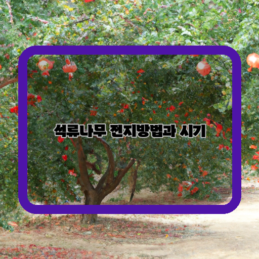  석류나무 전지 방법과 적기, 유의사항 알아보기