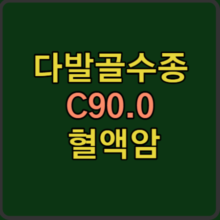 다발골수종 C90.0 혈액암