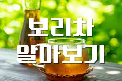  보리차, 여름철 갈증 해소 물 대신 마시기