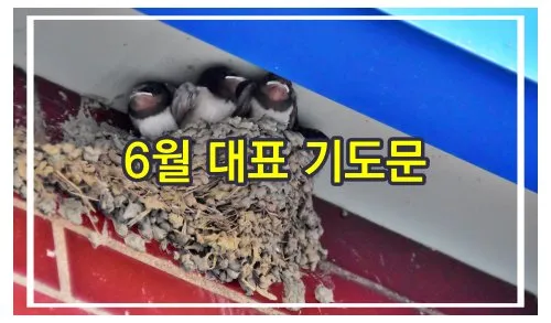6월 셋째주 예배 대표 기도문 모음_2