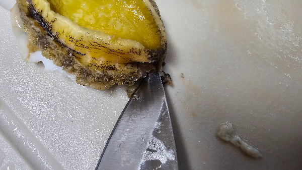 전복 입쪽에 칼을 갖다대고 이빨과 식도를 꺼냅니다.