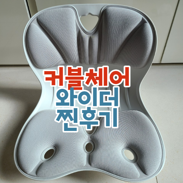  커블체어 와이더 6개월 써본 찐후기