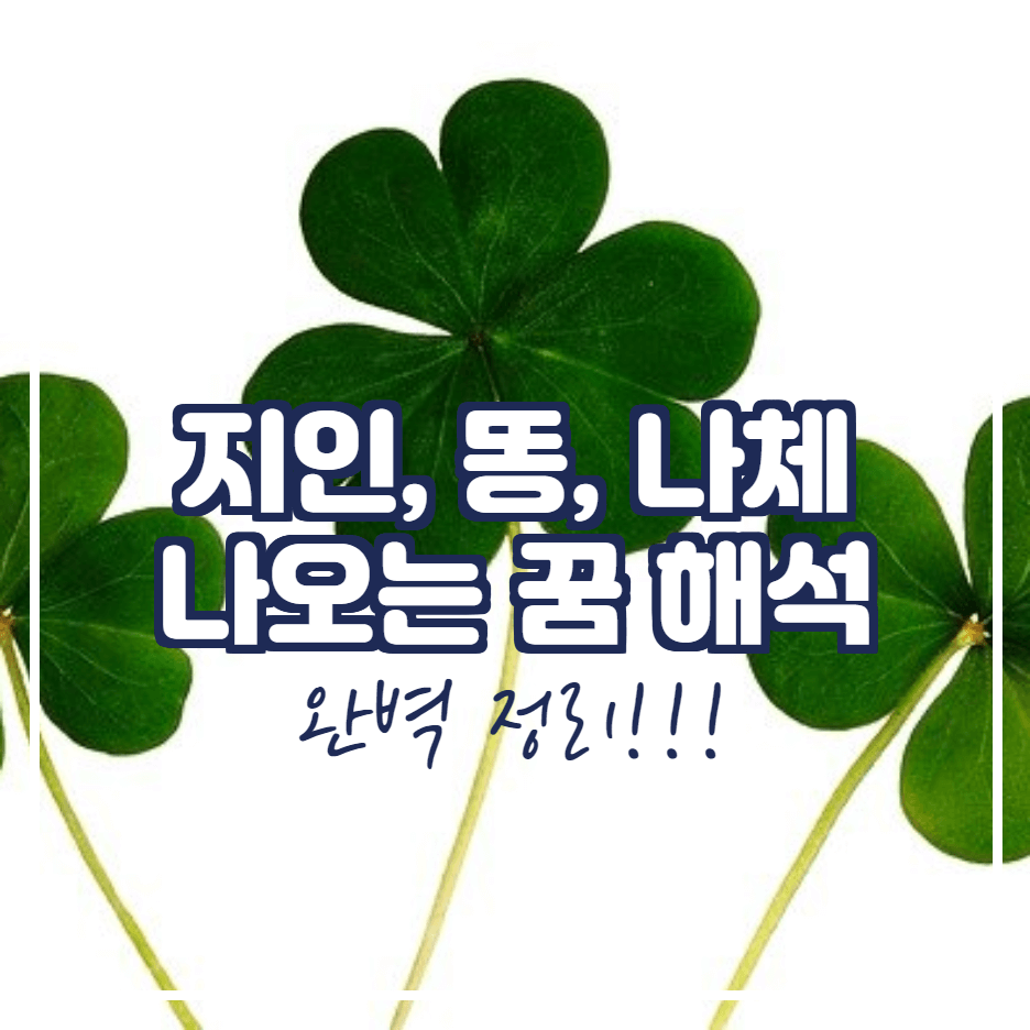  똥, 나체, 지인 나오는 꿈 해몽