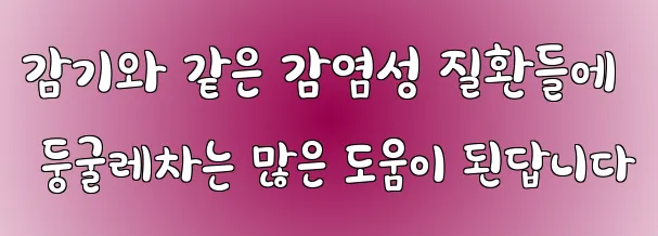 감기와 같은 감염성 질환들에 둥굴레차는 많은 도움이 된답니다