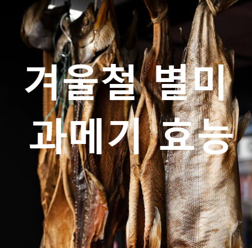  과메기 철 효능 및 칼로리 - 과메기 보관 방법