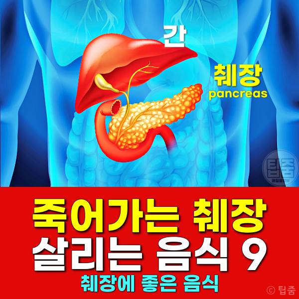 췌장에 좋은 음식 췌장염 회복 식단
