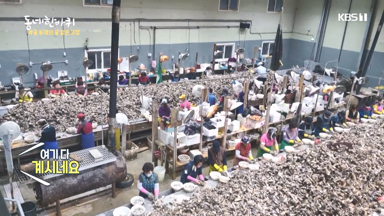 동네 한 바퀴.E243.231015p-NEXT.mp4_20231015_180257.866.jpg