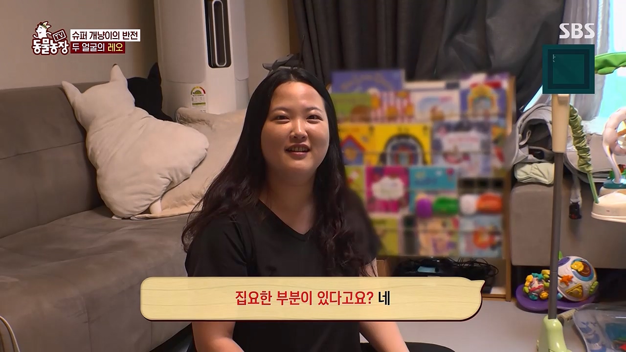 TV 동물농장 1189화 다시보기.ts_20240922_161939.062.jpg