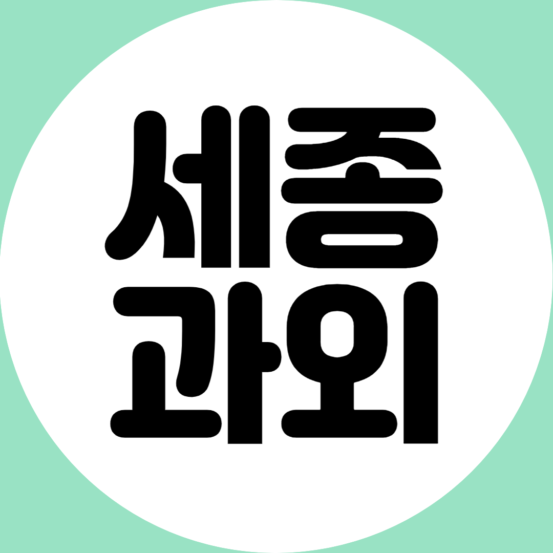  세종 고등 중학생 영어과외 보람동 초등학생 수학과외 국어 국사 공부법 방문과외 인성교육