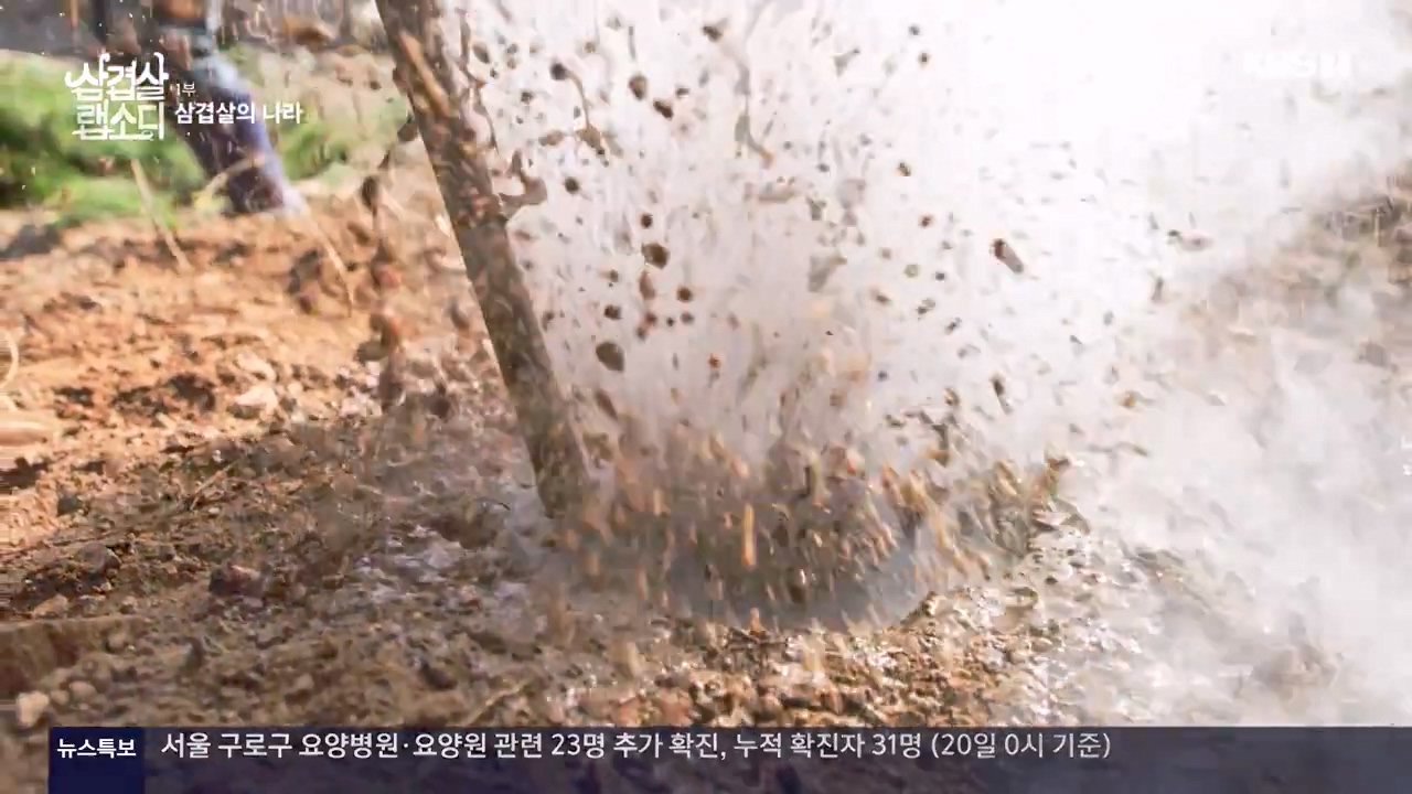 삼겹살 랩소디.E01.201221p-NEXT.mp4_20240221_195416.813.jpg