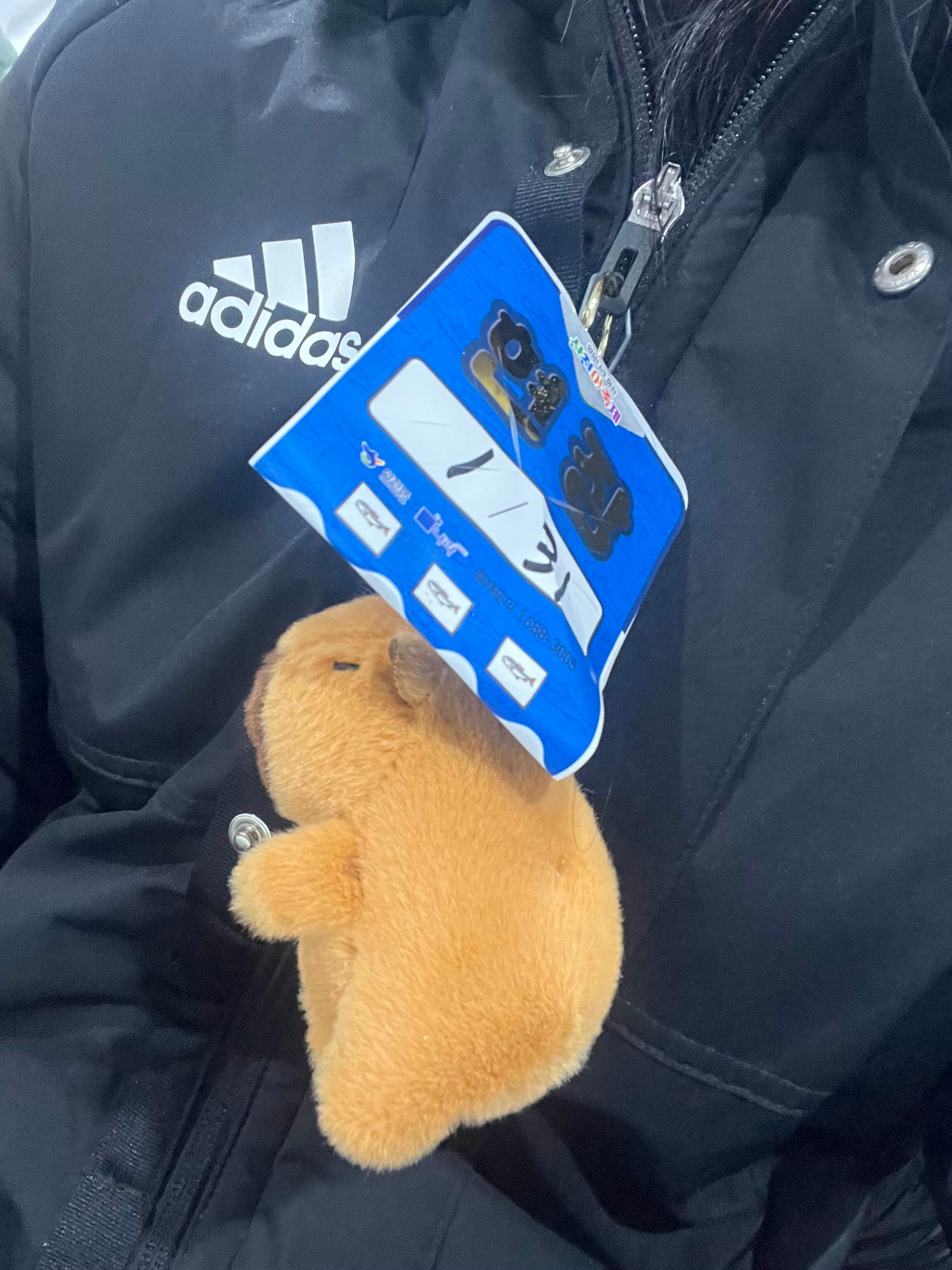 이층달빛 이미지