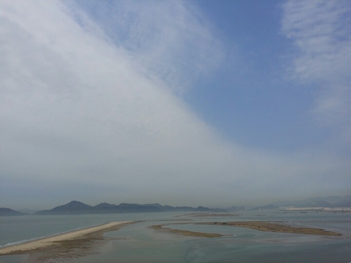  《사진 산책》모래의 땅,을숙도