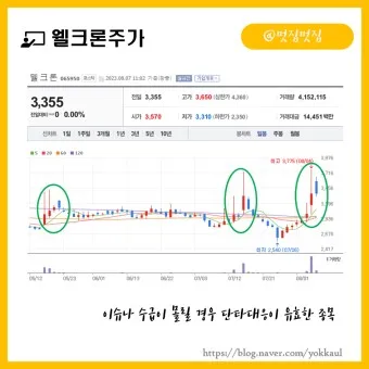 호신용품 대장주 관련주 TOP5 총정리_25