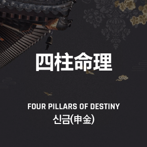 신금(申金) 특징, 의미, 성격, 직업 총정리