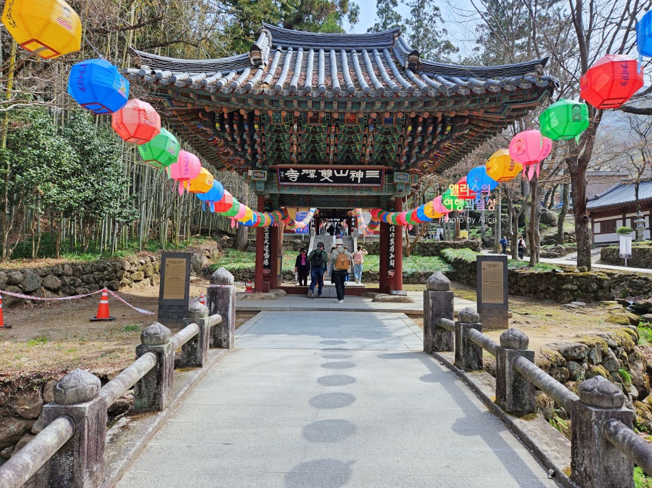 벚꽃... 미쳤다! 하동 십리벚꽃길 쌍계사 벚꽃 국내 벚꽃 최고 명소