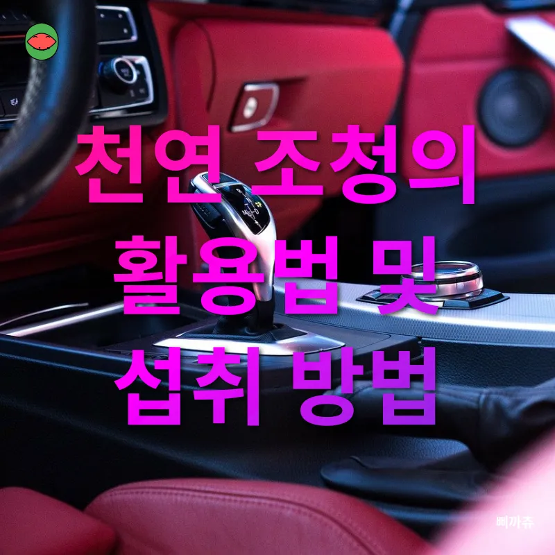 프리미엄 천연 조청_2