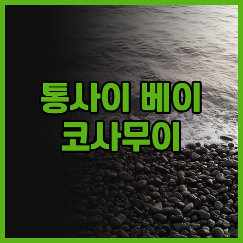 더 통사이 베이.. 코사무이 프리미엄