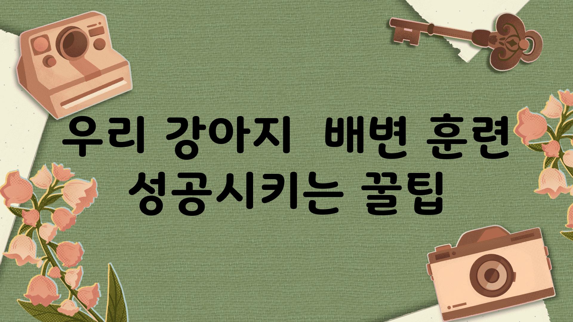 우리 강아지  배변 훈련 성공시키는 꿀팁