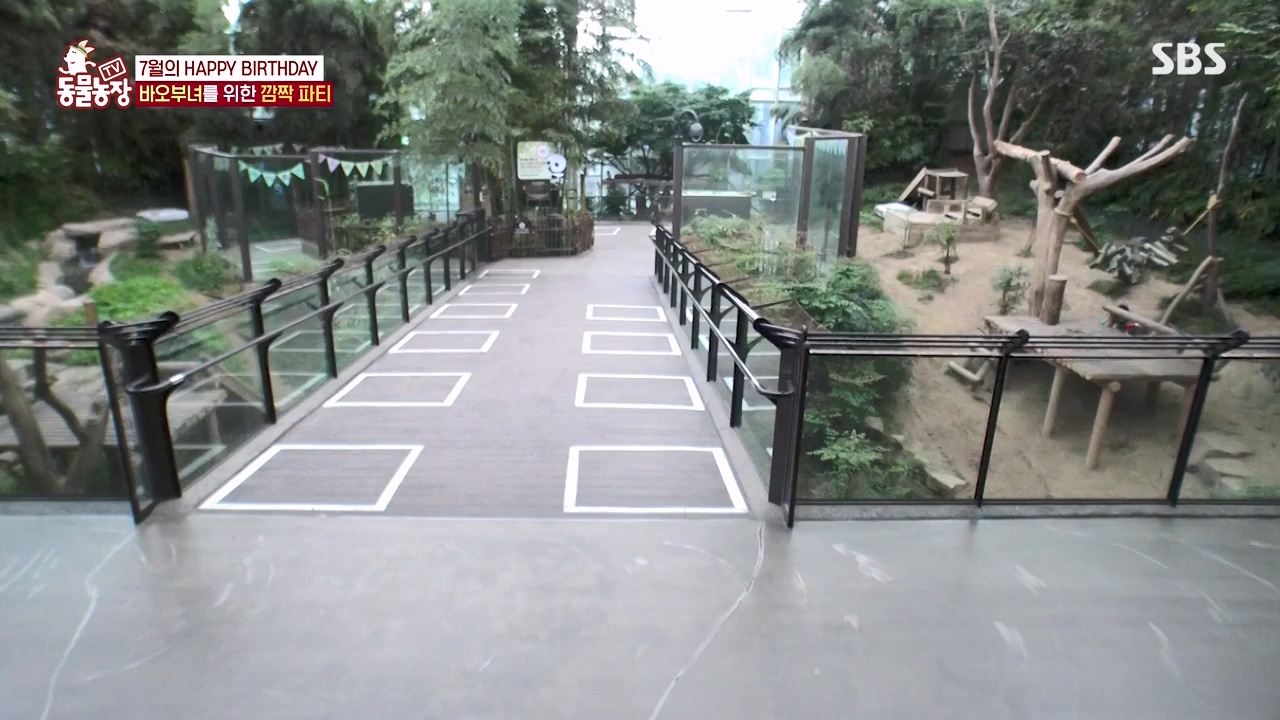 TV 동물농장.E1134.230821p-NEXT.mp4_20230820_193346.760.jpg