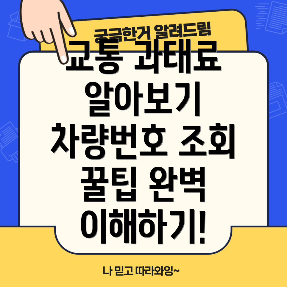 차량번호 조회