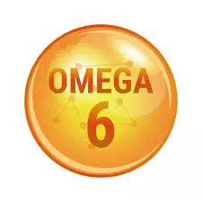  오메가 6(Omega 6)의 굉장한 효능! 이것만 알면 건강한 몸!