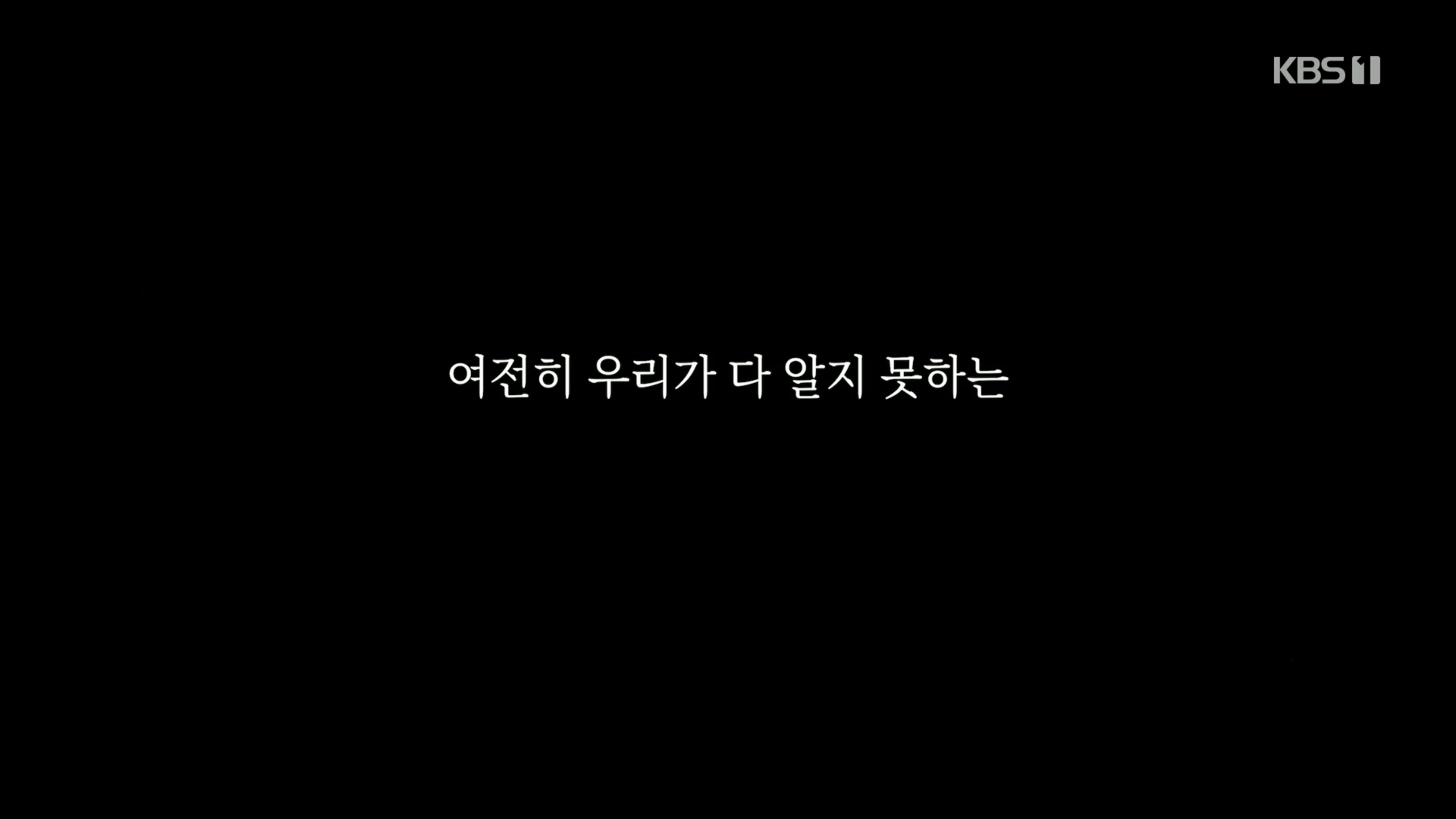 다큐 인사이트.E151.230518p.H264-F1RST.mp4_20230522_201120.419.jpg