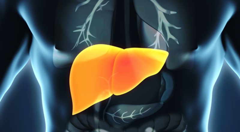 liver image