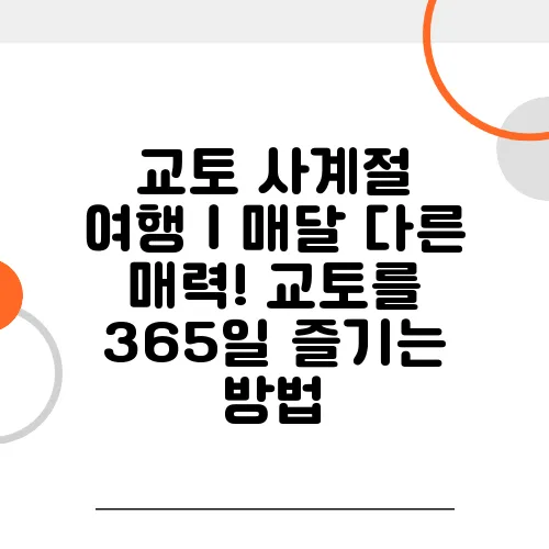 교토 사계절 여행｜매달 다른 매력! 교토를 365일 즐기는 방법
