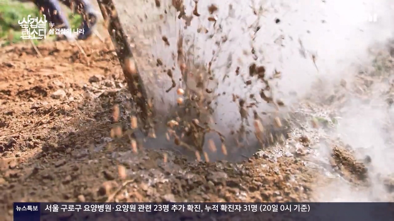 삼겹살 랩소디.E01.201221p-NEXT.mp4_20240221_195415.558.jpg