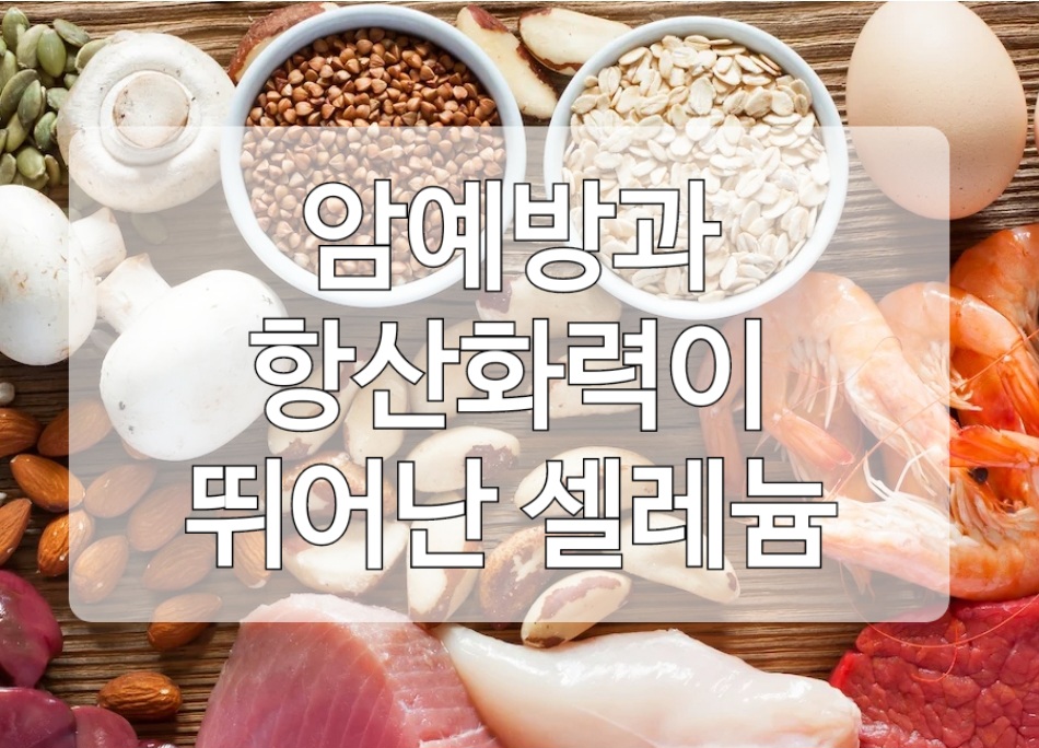  강력한 항산화제인 셀레늄, 너무 많이 복용하면 독이된다 ?진실일까 거짓일까?