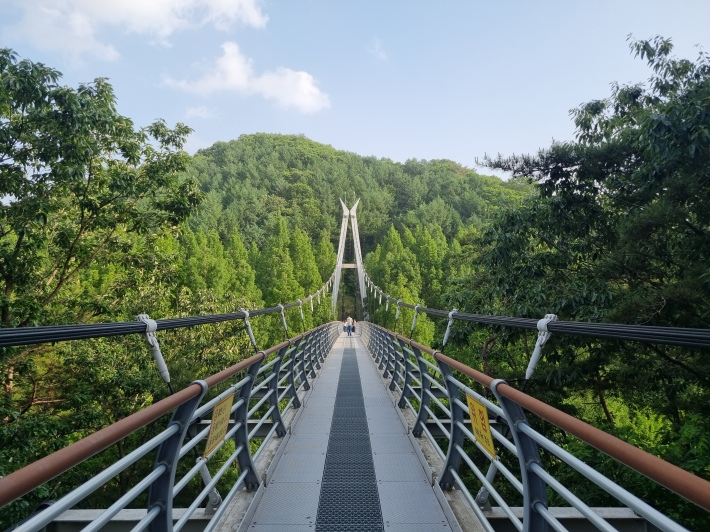 출렁다리