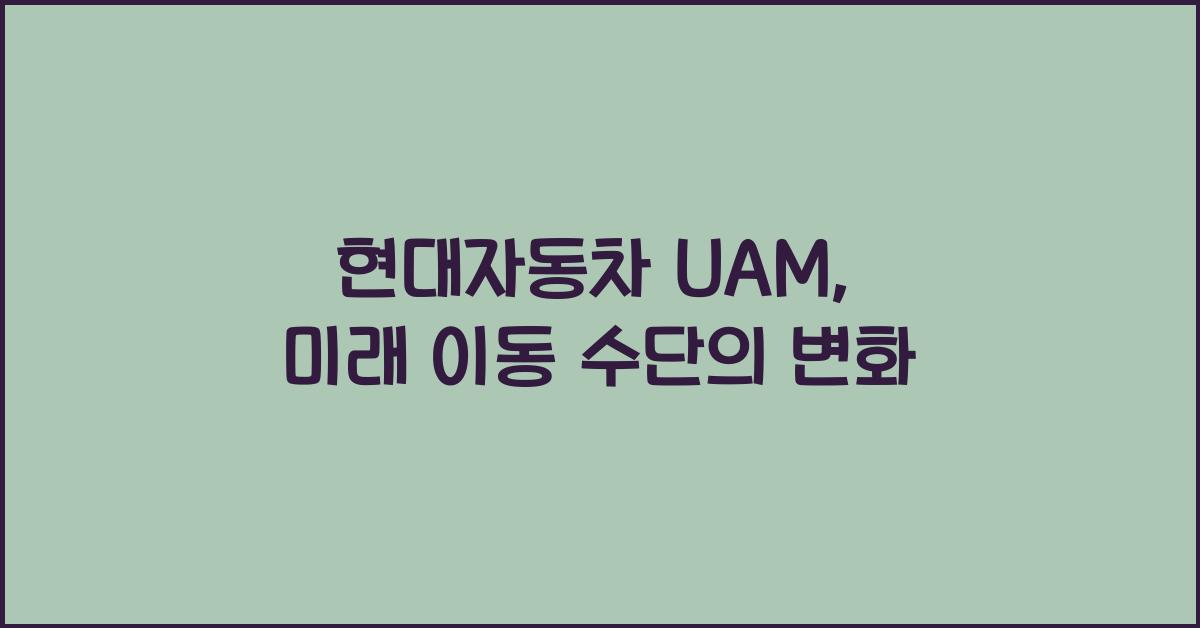 현대자동차 uam