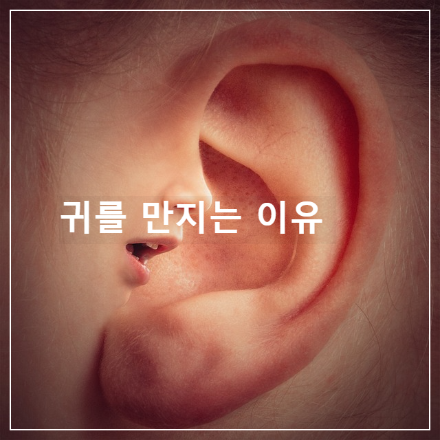  귀를 만지는 습관에는 숨겨진 심리가 있습니다! 무의식적으로 만지는 습관을 치료하고 싶을 때 해야 할 일도 소개합니다!