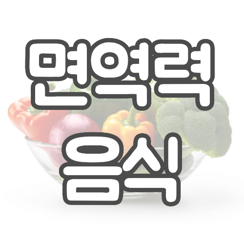 면역력 음식