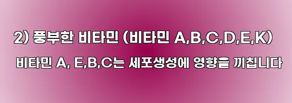  2) 풍부한 비타민 (비타민 A,B,C,D,E,K) 비타민 A, E,B,C는 세포생성에 영향을 끼칩니다