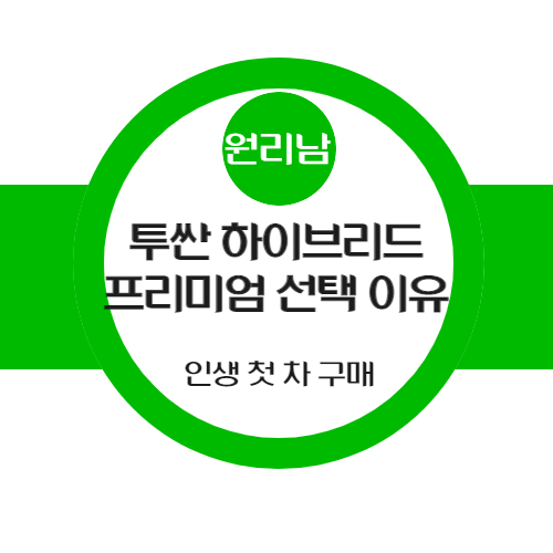  투싼 하이브리드 인스퍼레이션 아닌 프리미엄을 선택한 이유(인생 첫 차 구입)