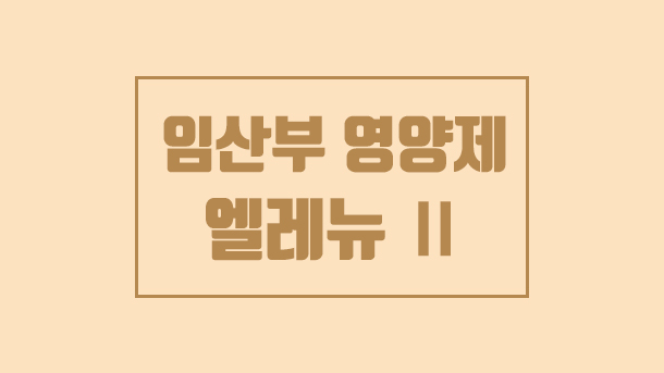  임산부 영양제 추천 , 엘레뉴2