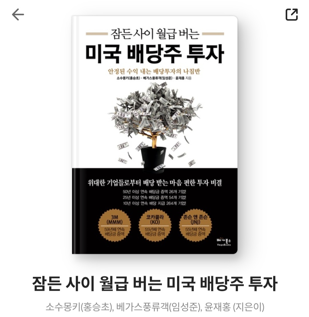  잠든 사이 월급 버는 미국 배당주 투자 - 소수몽키(홍승초)외 2인 [베스트셀러, 북리뷰, 느낀점, 줄거리, 도서후기]