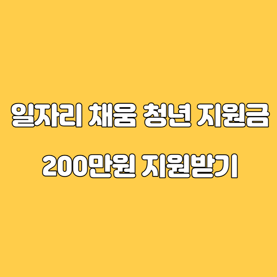 일자리채움청년지원금