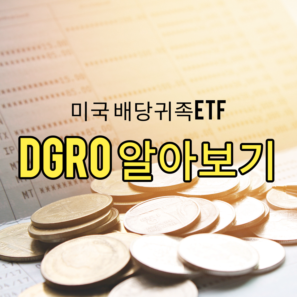  미국주식 포트폴리오 배당귀족ETF DGRO