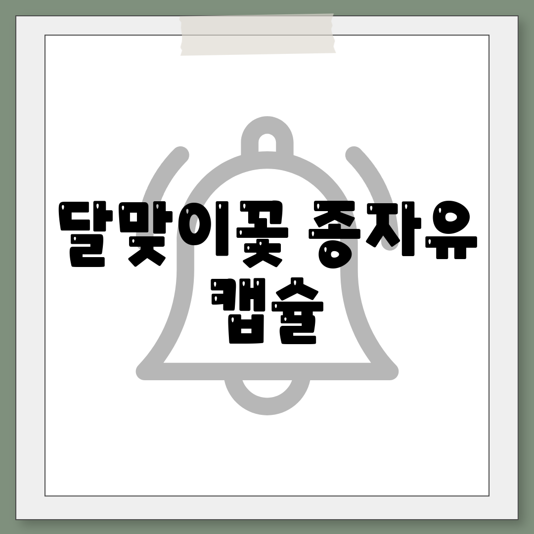 달맞이꽃 종자유 캡슐