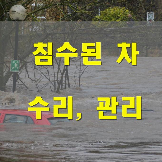  침수차 보상 받을 수 있을까
