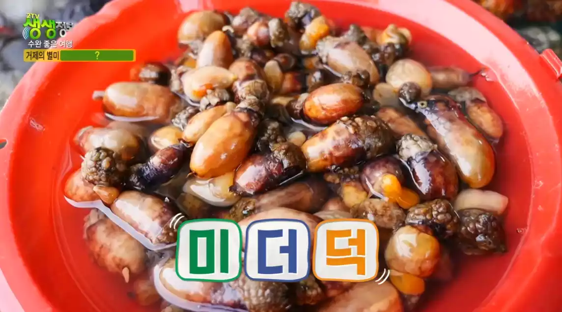 미더덕