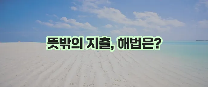 비상금 확보를 위한 친절한 상담: 비상금 대출