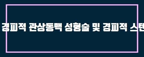  경피적 관상동맥 성형술 및 경피적 스텐트 삽입술 And 눈 건강엔 루테인 오메가3