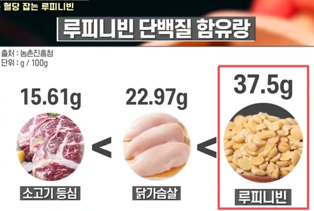 빈푸드 이미지